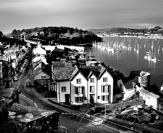 网络ddos攻击软件